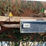 photo 2021-02-12 11-30-38