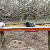 photo 2021-03-12 07-24-56