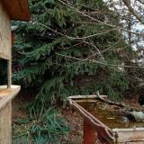 photo 2021-11-18 11-29-43