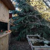 photo 2021-12-20 14-38-55