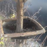 photo 2019-12-29 14-38-34