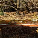 photo 2021-10-27 14-10-55