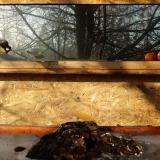 photo 2022-01-19 09-52-44