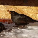 photo 2022-01-23 11-10-42 rigo