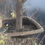 photo 2019-12-25 11-23-29