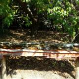 photo 2021-10-02 11-49-05