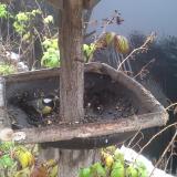 photo 2019-12-02 10-50-16