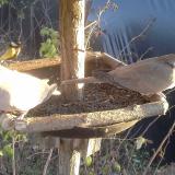 photo 2019-12-18 14-58-07