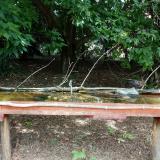 photo 2021-08-04 11-56-19