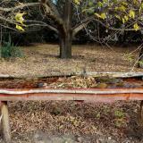 photo 2021-10-22 09-29-59