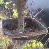 photo 2019-12-14 11-16-53