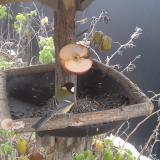 photo 2019-12-04 09-47-24