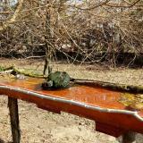 photo 2021-03-26 09-40-51