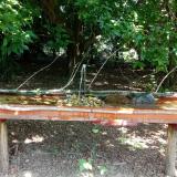 photo 2021-07-21 11-21-17