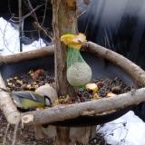 photo 2019-01-17 08-42-16