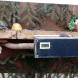 photo 2021-02-07 14-11-55