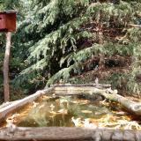 photo 2023-10-17 13-32-27