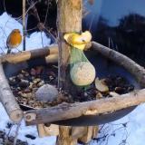 photo 2019-01-14 08-17-23