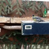 photo 2021-02-17 12-13-52