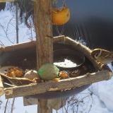 photo 2019-01-27 09-41-39