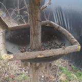 photo 2019-03-14 09-58-05