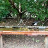 photo 2021-08-23 15-06-22