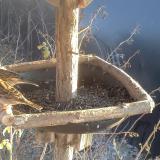 photo 2019-12-30 14-25-13