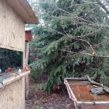 photo 2021-12-30 12-31-12