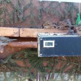 photo 2021-03-03 08-32-39