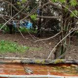 photo 2021-04-18 10-31-32 cinke