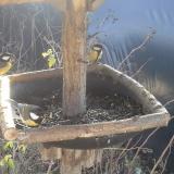 photo 2019-12-26 10-57-52