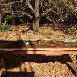 photo 2021-10-27 11-50-39