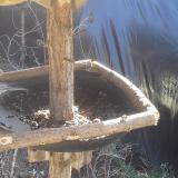 photo 2019-02-18 12-12-54