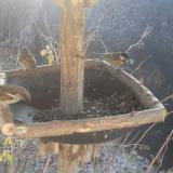 photo 2019-12-30 11-21-31