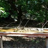 photo 2021-09-10 08-28-21