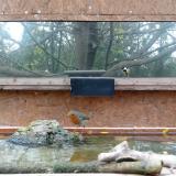 photo 2023-10-28 15-19-35