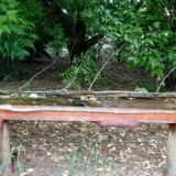 photo 2021-05-31 12-29-34