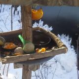 photo 2019-01-26 08-51-54