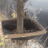 photo 2019-12-29 13-10-37