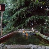 photo 2023-10-10 18-08-41