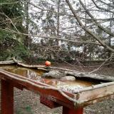 photo 2022-03-08 13-39-21