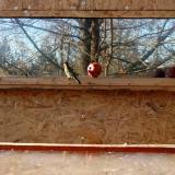 photo 2022-01-14 13-39-28