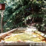 photo 2023-10-04 15-00-51