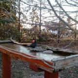 photo 2022-03-14 06-30-49