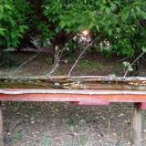 photo 2021-05-12 19-52-40