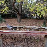 photo 2021-10-19 16-51-57