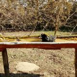 photo 2021-03-11 10-34-39