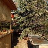 photo 2022-01-12 13-04-41