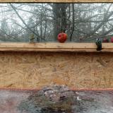 photo 2022-01-16 11-28-05