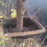 photo 2019-12-21 09-36-45